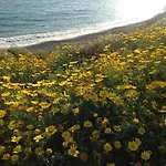 Zenberry House * Mandria (Paphos)