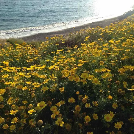 Zenberry House * Mandria (Paphos)