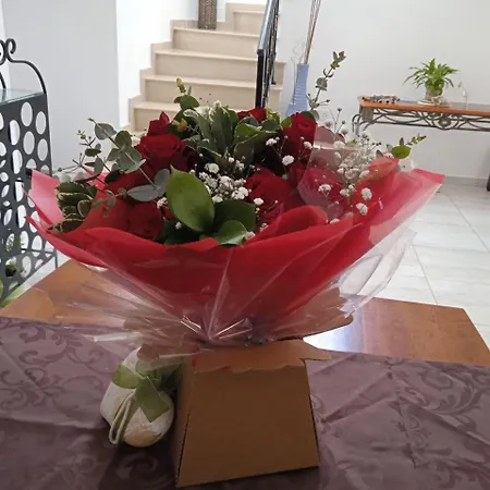Проживание в семье Zenberry House *
