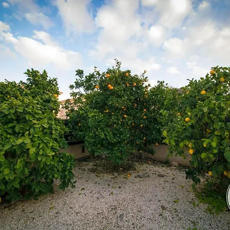 Séjour chez l'habitant Zenberry House