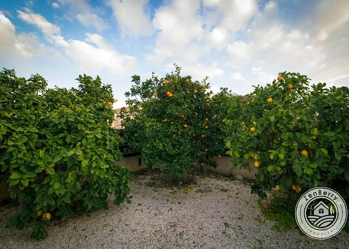 Ubytování v soukromí Zenberry House